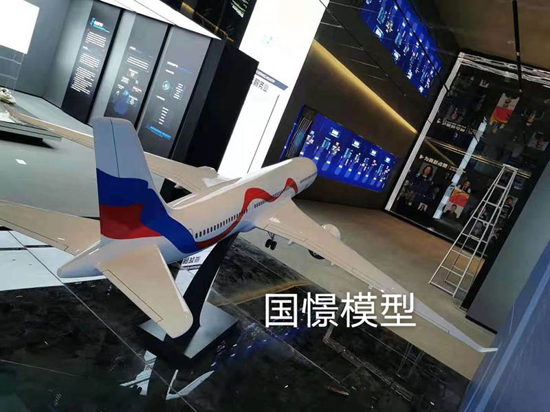 鲁山县飞机模型